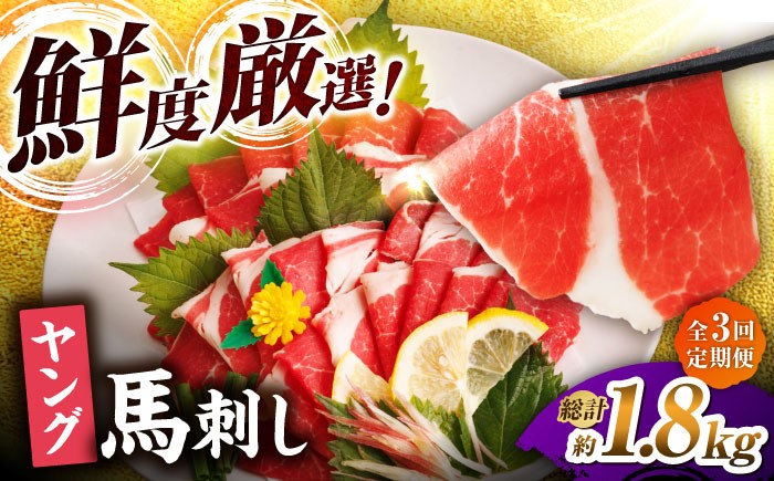 
                  【3回定期便】ヤング馬刺し 計600g（6pc） 馬刺し ヤング 馬刺し 馬肉 桜肉 馬 肉 便利 小分け 6パック コリコリ 歯ごたえがある 首周りのお肉 冷凍 生食 肉食 刺身 九州 熊本県 特産品 山鹿 送料無料 【馬刺しの郷 民守】[ZBL047]
                