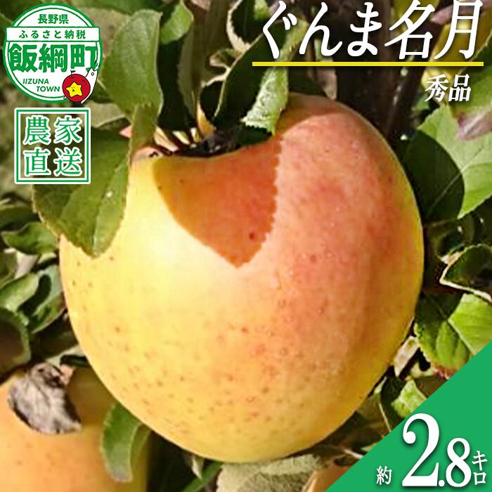 【ふるさと納税】 りんご ぐんま名月 秀 2.8kg 信州りんご☆小山園☆ 沖縄県への配送不可 令和8年度収穫分 エコファーマー認定 小山園 長野県 飯綱町 〔 信州 果物 フルーツ リンゴ 長野 13000円 予約 農家直送 〕発送時期：2026年11月中旬〜2026年11月下旬
