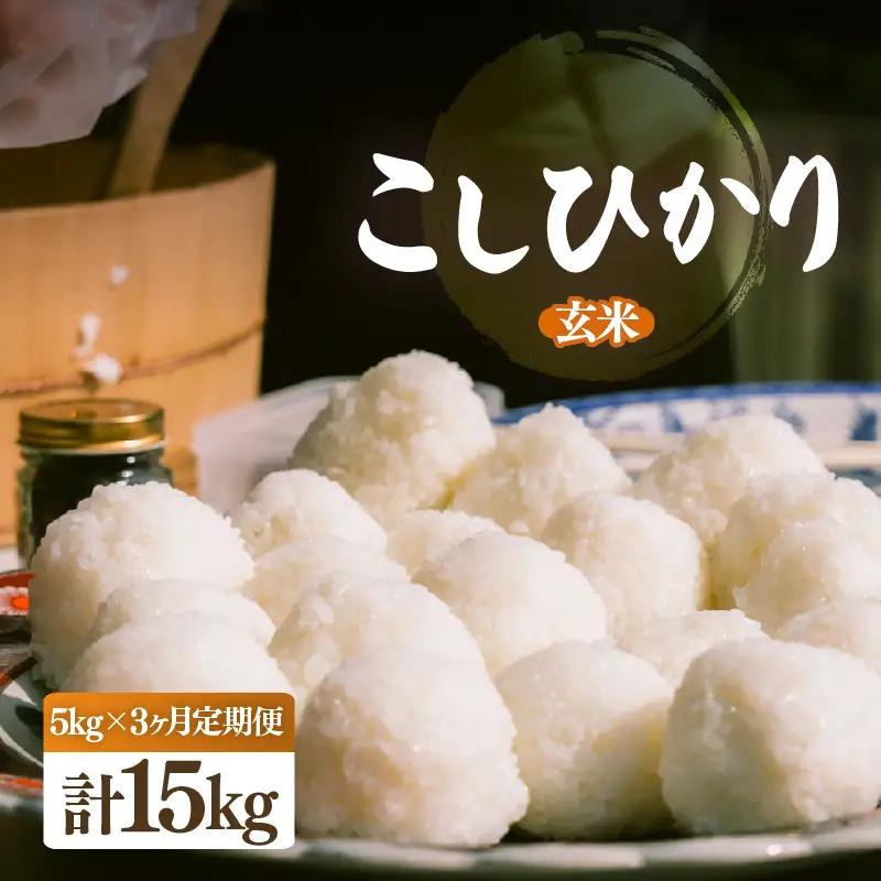 【先行予約】【令和8年産・新米】定期便 ≪3ヶ月連続お届け≫ こしひかり 5kg × 3回（計15kg）【玄米】【2026年10月中旬以降順次発送】 [e26-d002_02]