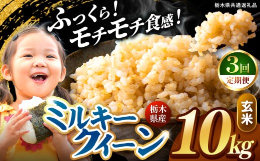【先行予約】【定期便3回】 令和8年度産 玄米 約10kg ミルキークイーン |  真岡市産 米  お米 こめ 玄米 ご飯 ごはん もちもち ミルキークイーン 限定 ふるさと納税 栃木県 真岡市 送料無料