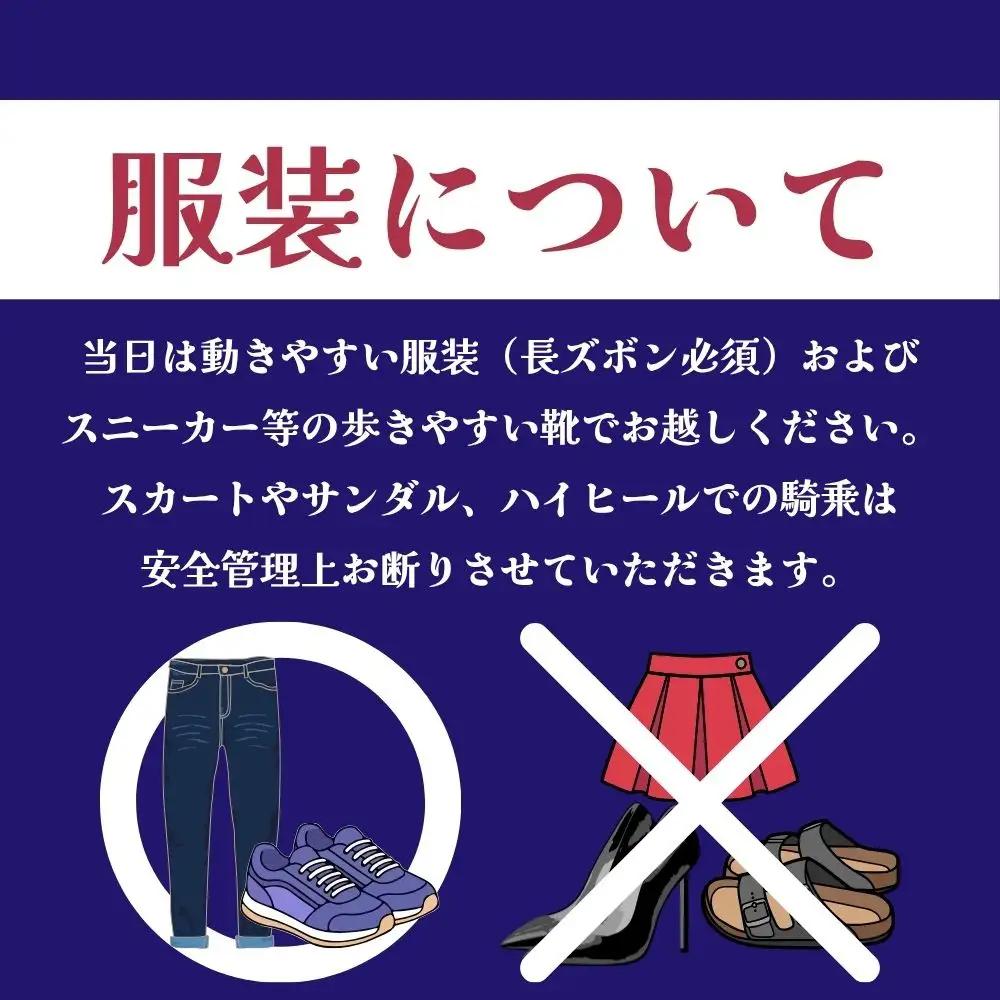 【ふるさと納税】ビジター騎乗 ＜障害あり＞  1回分 北海道安平町〈早来エクワインファーム〉馬 サラブレッド ポニー 競馬 馬術 体験