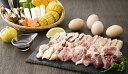 【ふるさと納税】名古屋コーチンの焼肉セット (名古屋コーチン卵のおまけ付き)｜コーチン 鶏肉 鳥肉 とり肉 焼肉【0665】