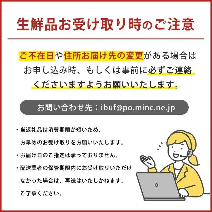 2026年7月上旬～発送 ぶどう 竜宝・藤稔の2種 約2kg 迫田果樹園 IB064-008 ぶどう ぶどう