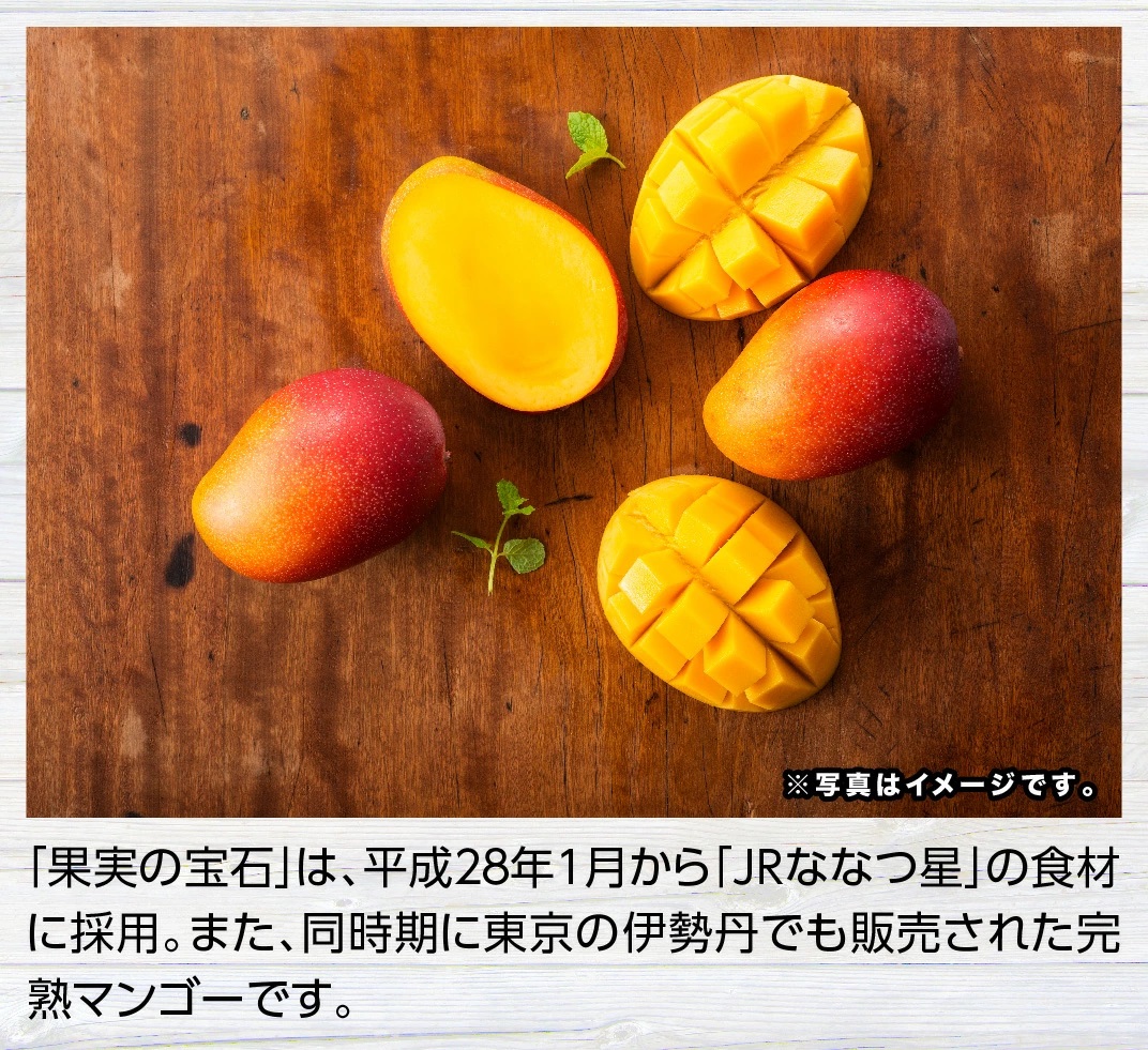 【令和8年発送】宮崎県産完熟マンゴー「果実の宝石」　4L×1玉 【 果物 フルーツ マンゴー 宮崎県産 みやざきマンゴー 先行予約 数量限定 期間限定 】