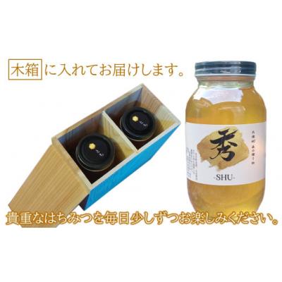 ふるさと納税 久慈市 北緯40度はちみつ 木箱入り「秀-SHU-」とち 1,200g×2本セッ |  | 03
