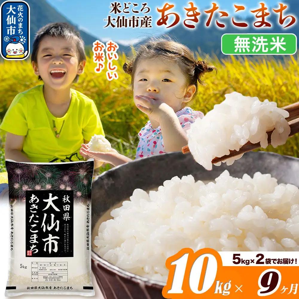米《定期便9ヶ月》あきたこまち【無洗米】米どころ秋田県大仙市産 あきたこまち 10kg（5kg×2袋）