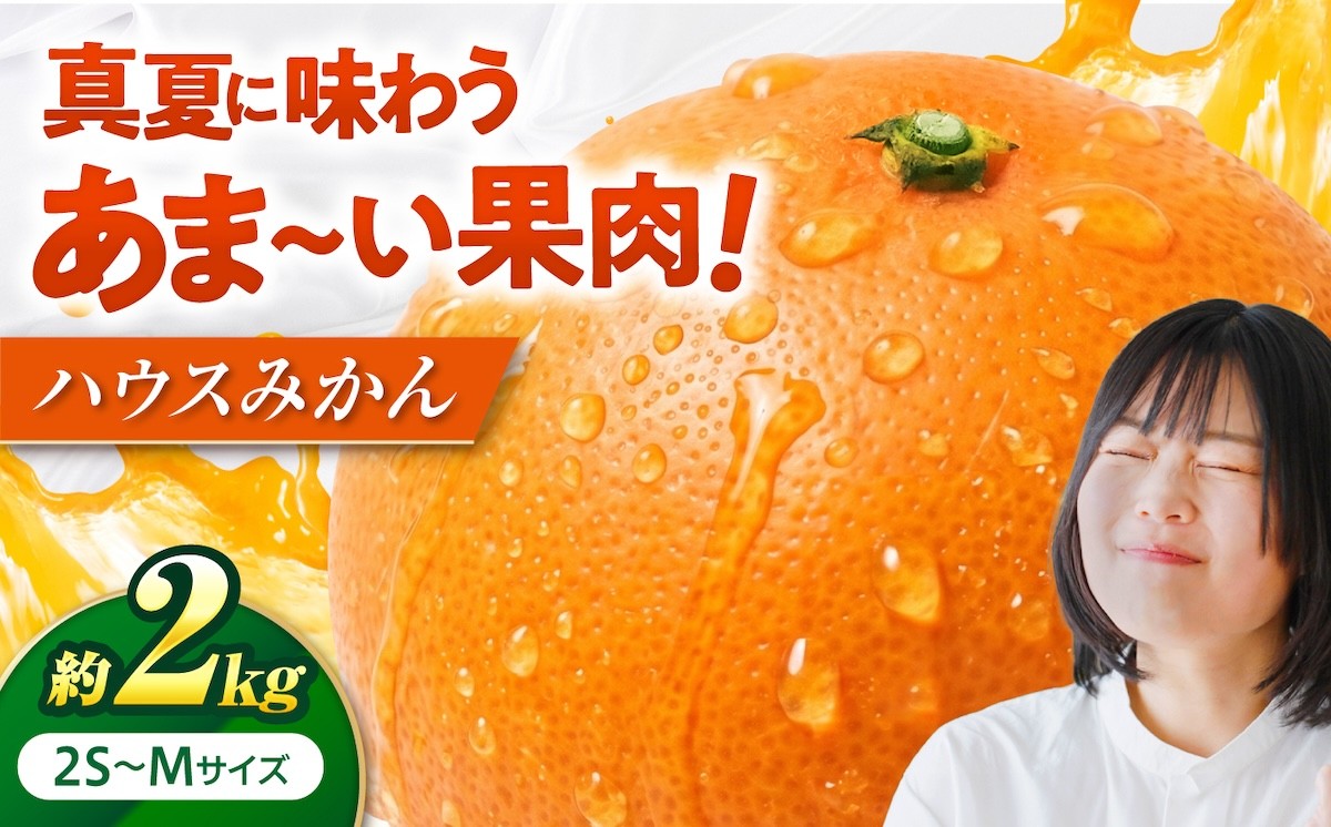 
                  ハウスみかん 2kg 【7月下旬から9月下旬まで順次発送】 / フルーツ 果物 蜜柑 ミカン オレンジ 小玉 甘い 先行予約 2kg 愛媛 ハウスみかん 温室栽培 夏みかん 夏 冷やして デザート 甘み コク 愛媛産 フルーツ 果物 贈答 フルーツギフト 果汁 ジューシー 柑橘 産地 愛媛名産品 プレゼント ギフト 人気 おすすめ / 愛媛県砥部町/株式会社フジ・アグリフーズ [BJBI001]
                