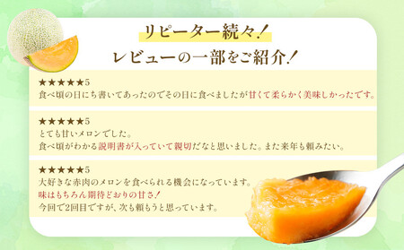 【2025年発送】【先行予約】【数量限定】美唄市産ルピアレッドメロン３玉（赤肉）