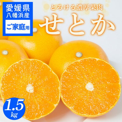 【ふるさと納税】【ご家庭用】せとか 1.5kg みかん 愛媛県 八幡浜産市 西宇和地区 柑橘の女王【C25-299】【1713013】