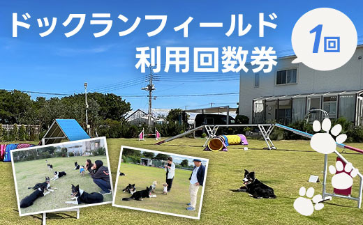 
ドックランフィールド利用回数券（1回） ふるさと納税 ドッグラン 利用券 チケット 犬 イヌ 千葉県 白子町 送料無料 SHAI005
