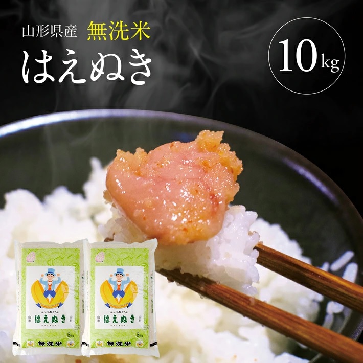SE0445　令和7年産【無洗米】はえぬき　10kg(5kg×2袋) TO