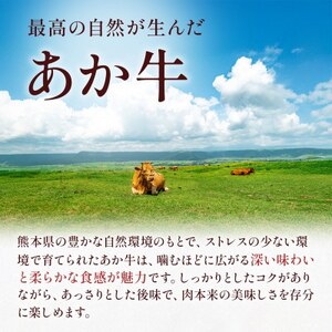 熊本県産 GI認証取得 くまもとあか牛 切り落とし 合計800g(益城町)【配送不可地域：離島】【1712450】