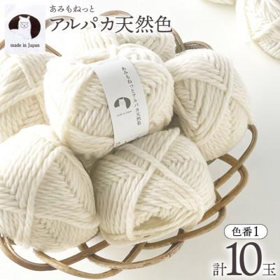 ふるさと納税 江南市 あみもねっと アルパカ天然色 1番色 10玉セット