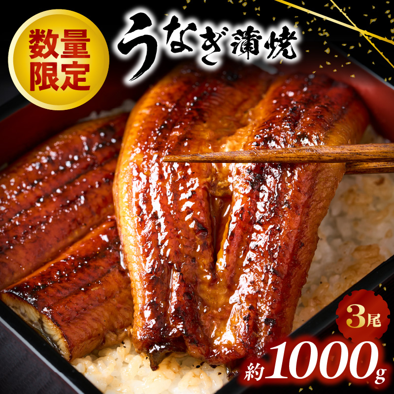 A1526.うなぎの蒲焼３尾（計１，０００ｇ前後）『１～２ヶ月前後でお届け！！』