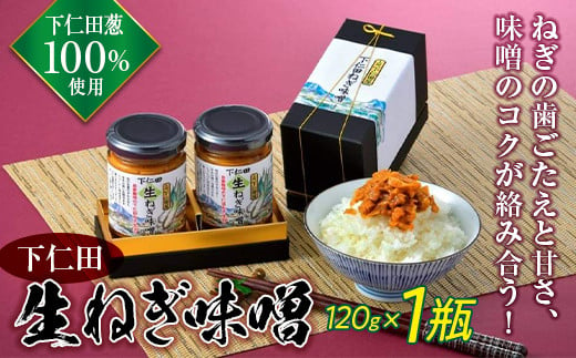 群馬県下仁田町 自家栽培の下仁田ネギ100％使用！下仁田生ねぎ味噌 120g×1瓶 F21K-107