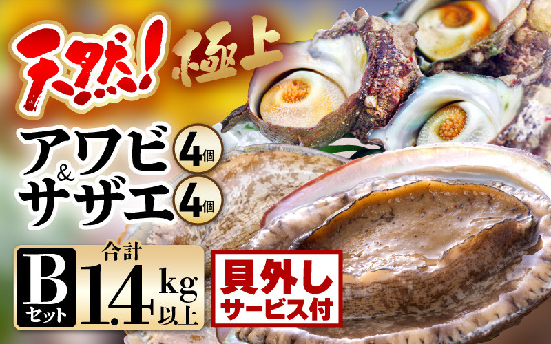 
            【期間限定】天然！極上 アワビ ＆ サザエ セットB(貝はずしサービス)【入手困難 産地直送 刺身 お造り おせち バター焼き BBQ あわび 鮑 サザエ さざえ 貝 砂抜き済 海鮮 魚介 酒の肴 つまみ 贅沢 ご褒美 冷凍 福井】[m21-ｍ001_02]
          