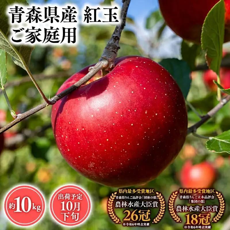 りんご 家庭用 紅玉10kg りんご