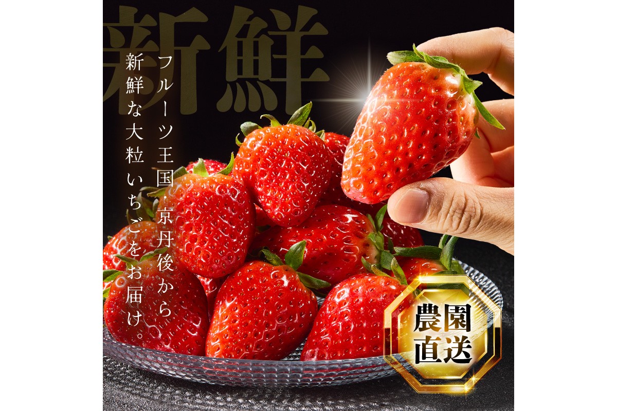 【京丹後産いちご章姫】農園直送便！新鮮大粒いちご 2パック ギフト箱入り／北畿水産　HK00159