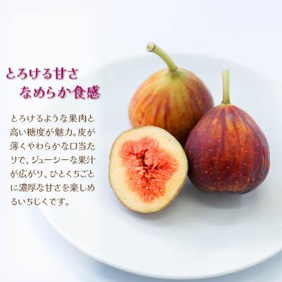 ふるさと納税 宇美町 【先行受付】いちじく「とよみつひめ」約300g×4パック福岡限定!ブランド(宇美町) |  | 01