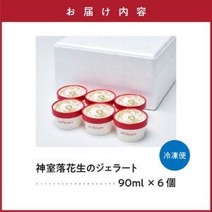 神室落花生 の ジェラート 6個 ( 1個 90ml ) 山形県産 落花生 大豆 豆