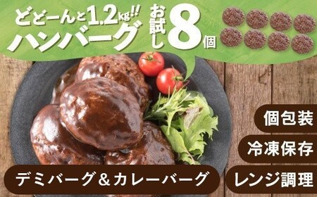 ZG197.累計４０万個突破記念！お試し1.2㎏!デミ＆カレーハンバーグセット【150g×8個】【訳あり】【北海道・沖縄・離島へ配送不可】