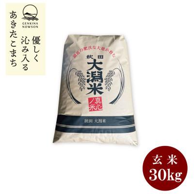 ふるさと納税 大潟村 【毎月定期便】秋田県産　あきたこまち1等　玄米　30kg全12回
