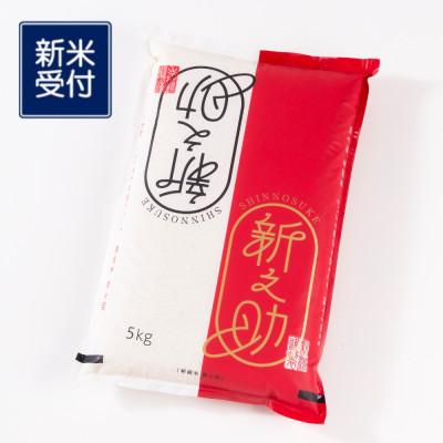 ふるさと納税 村上市 【新米受付・令和8年産米】新潟県岩船産 新之助 5kg 1013002N