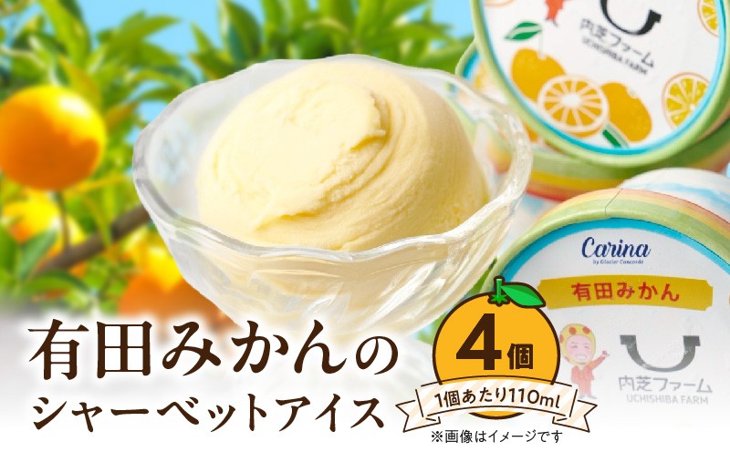 
                   有田みかんシャーベットアイス 110ml 内容量 4個 セット 和歌山県産 有田みかん 果汁 使用 爽やか シャーベット アイス フルーツ デザート 柑橘 お取り寄せ 和歌山県 湯浅町 送料無料_ZE6511
                