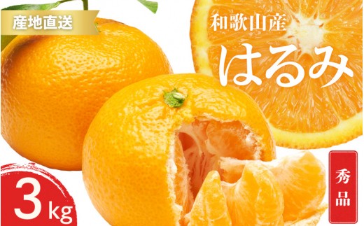 
                  【先行予約】秀品 はるみ 和歌山 有田 S～2Lサイズ 大きさお任せ 3kg【1月下旬～3月下旬までに順次発送予定】/ みかん フルーツ 果物 くだもの 蜜柑 柑橘【ktn046】
                