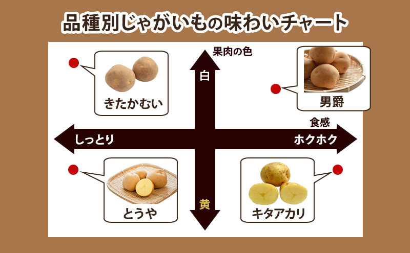 北海道 倶知安 産 じゃがいも  男爵  L サイズ 10kg 馬鈴薯 いも 芋 グリーンアースファーム 農家 直送 野菜 産地直送