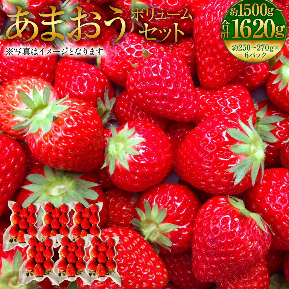 【ふるさと納税】あまおうボリュームセット G規格以上 約250～270g×6パック 計約1500～1620g いちご 苺 イチゴ フルーツ 果物 お取り寄せ デザート おやつ 福岡県産 冷蔵 送料無料【2027年2月上旬～4月下旬発送予定】