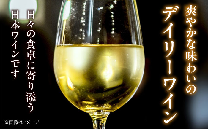 【全2回定期便】 燦來 ~きら~ KIRA 750ml×1本 白ワイン ワイン やや辛口 ギフト 広島 三次 酒 国産ワイン 日本ワイン 三次市 / 広島三次ワイナリー [APAZ128]