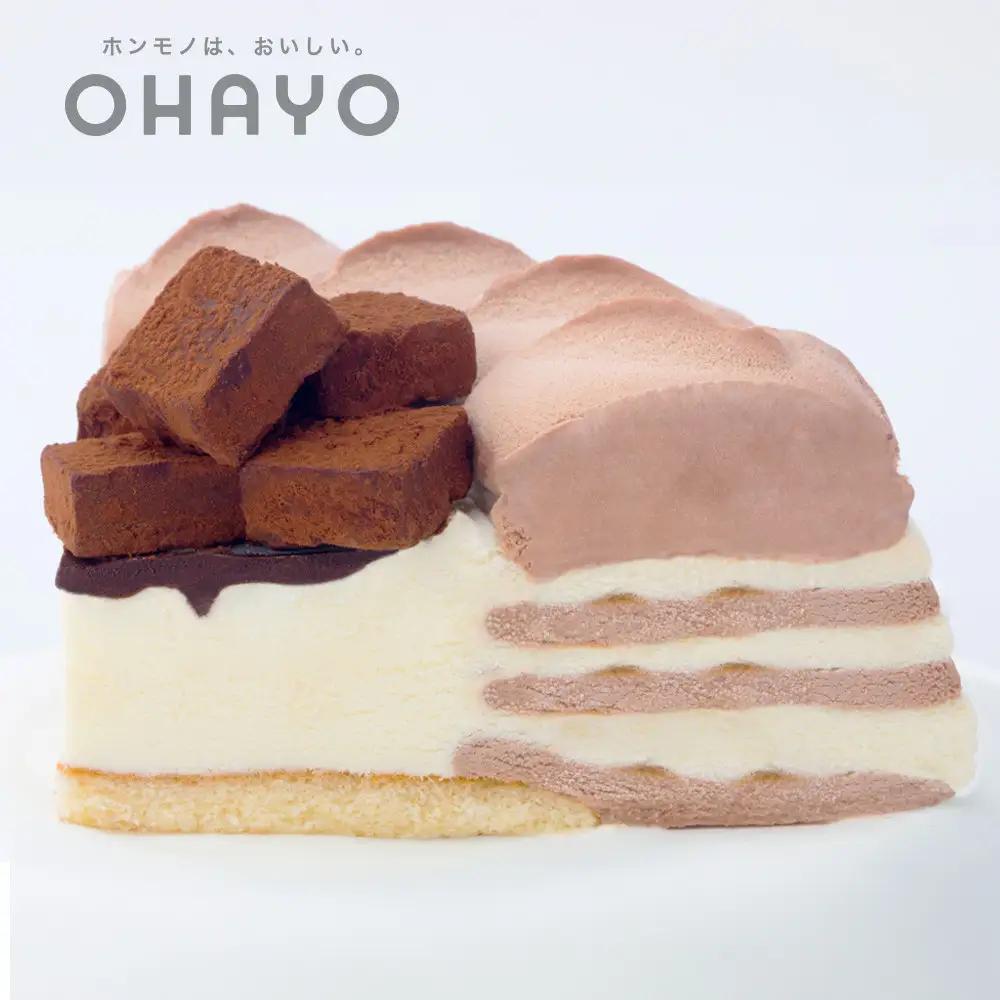 オハヨー乳業 生チョコアイスデコレーション 6号 17cm アイスケーキ ギフト