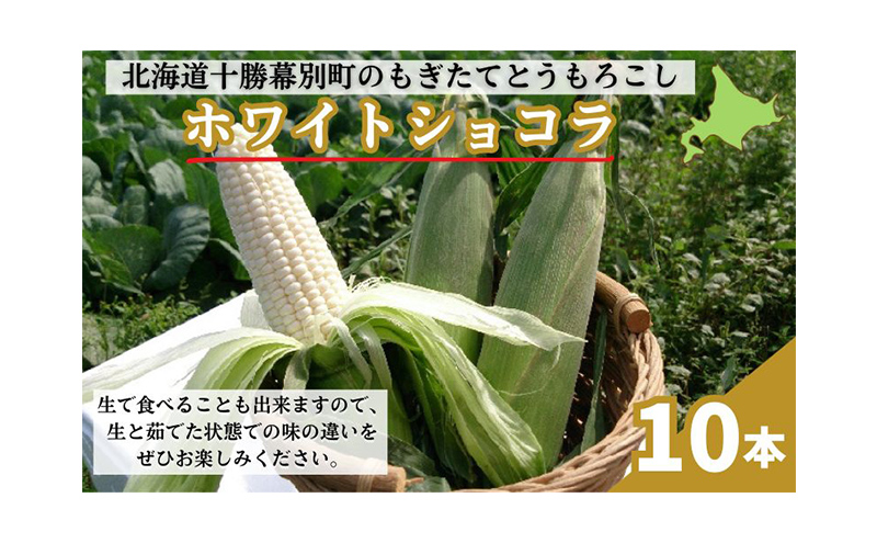 ［先行予約/2025年］もぎたてとうもろこし白10本 [北海道ホープランド農場]【 とうきび トウモロコシ とうもろこし 野菜 夏野菜 フルーツ 北海道 十勝 幕別 】