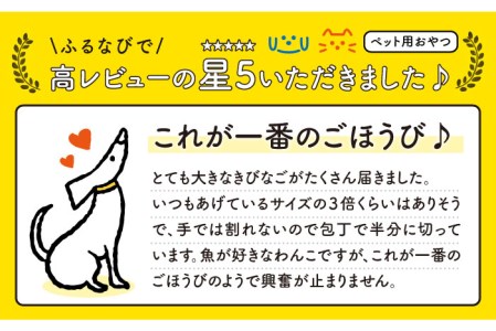 【ペットフード】きびなごスティック16袋（生干し8袋/蒸干し8袋） 五島市/浜口水産[PAI008] 犬 おやつ 国産 きびなご キビナゴ 干物 魚 煮干し にぼし 健康 カルシウム いぬ詰合せ ドッ