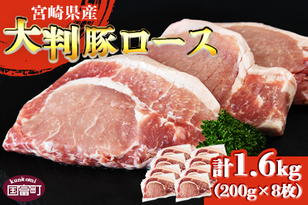 ＜宮崎県産 豚 大判ロース 合計1.6kg＞翌月末迄に順次出荷【  豚肉 豚ロース カツ丼 豚丼 カツカレー ステーキ ソテー トンテキ とんかつ 厚切り 国富町ザベストテン 小分け 個包装 真空パック 筋切り済 お料理 おかず 】