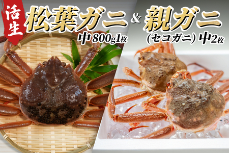 【22008-2】松葉がに＆親がにセット（生）※お届けは2026年11月中旬～