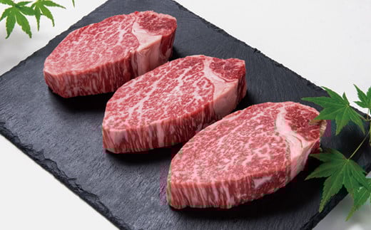 宮崎牛ヒレステーキ 3枚 合計450g 牛肉 ステーキ 高級部位 ブランド牛 ミヤチク 内閣総理大臣賞4連覇<4.2-3>【10月1日より寄附金額見直し】