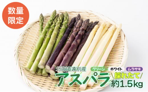 遠別産アスパラ3色セット（緑白紫）2L・Lサイズ混合　約1.5kg【2025年5月上旬より順次出荷】							
