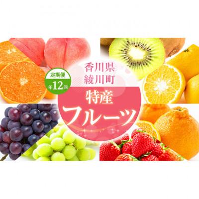 ふるさと納税 綾川町 【発送月固定定期便】特産　フルーツ　定期便(年12回)  [54010301]全12回