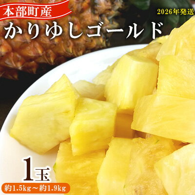 【ふるさと納税】【2026年発送】先行予約 かりゆしゴールド 1玉（約1.5kg～1.9kg） パイナップル スナックパイン デザート フルーツ 家族 子供 果物 取り寄せ 旬 おすすめ ギフト 人気 家庭用 贈答用 母の日 期間限定 パイン 沖縄 ジューシー 南国