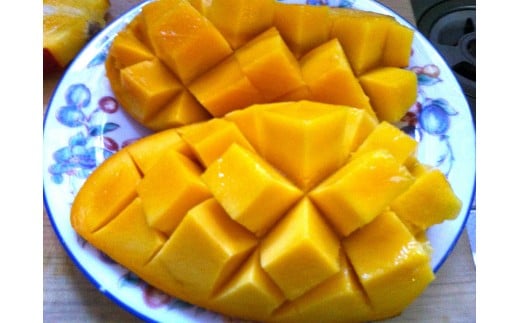 紅金煌 マンゴー 3~4個 入り 合計 1600g前後