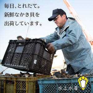 【能登半島地震復興支援】【発送時期が選べる】水上水産の能登のかき 半缶ガンガン焼き（約35～40個・ナイフ付） ※離島への配送不可 石川県 七尾市 能登 ※2026年1月上旬～4月下旬頃に順次発送予定