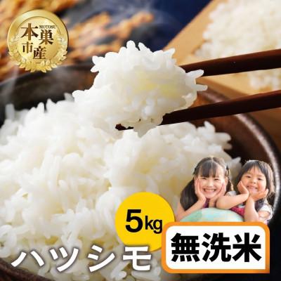 ふるさと納税 本巣市 【新米先行受付】令和8年産 ハツシモ 5kg 無洗米