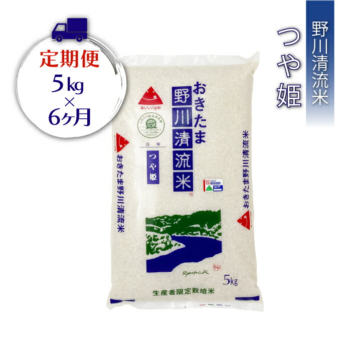 【ふるさと納税】【定期便6ヶ月】【令和7年産】【特別栽培米】野川清流米「つや姫」5kg×1袋×6ヶ月_A119(R7)