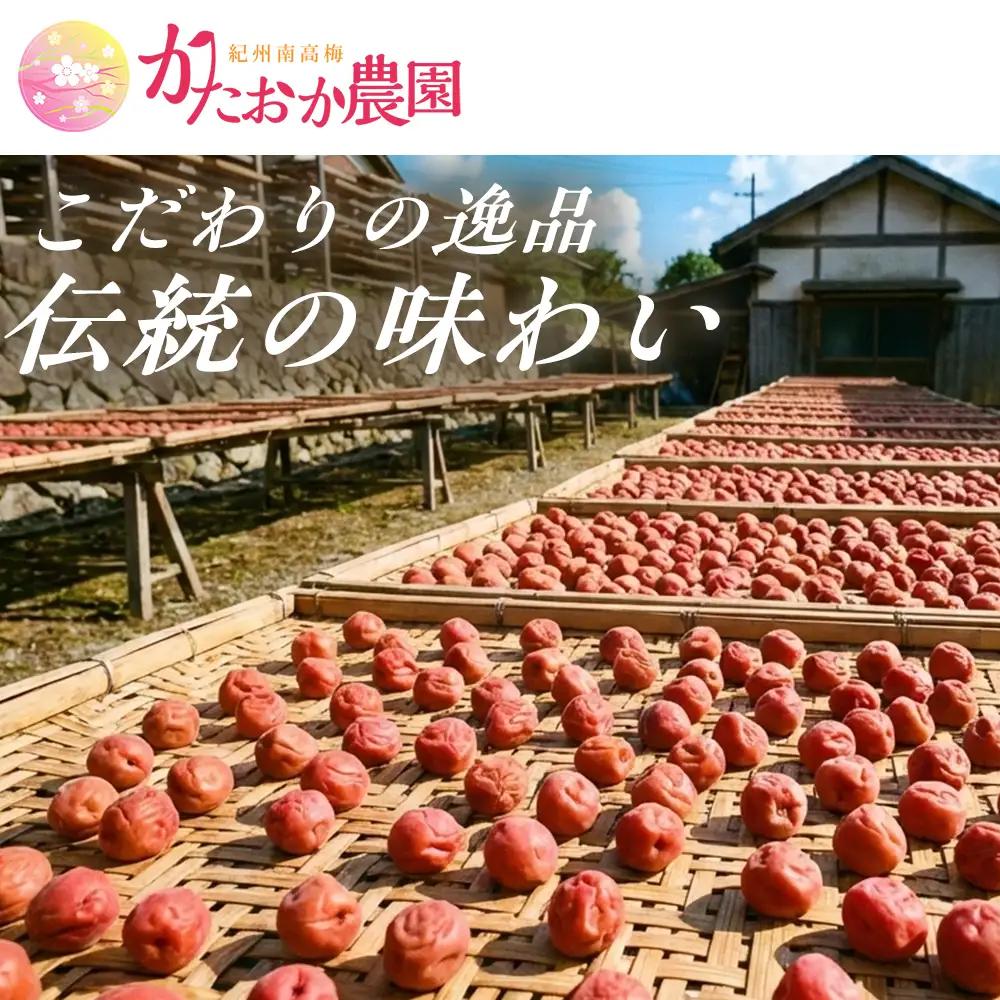 梅干し  塩分約18％ 1kg 本場紀州南高梅 完熟しそ梅干し【ktok002A】