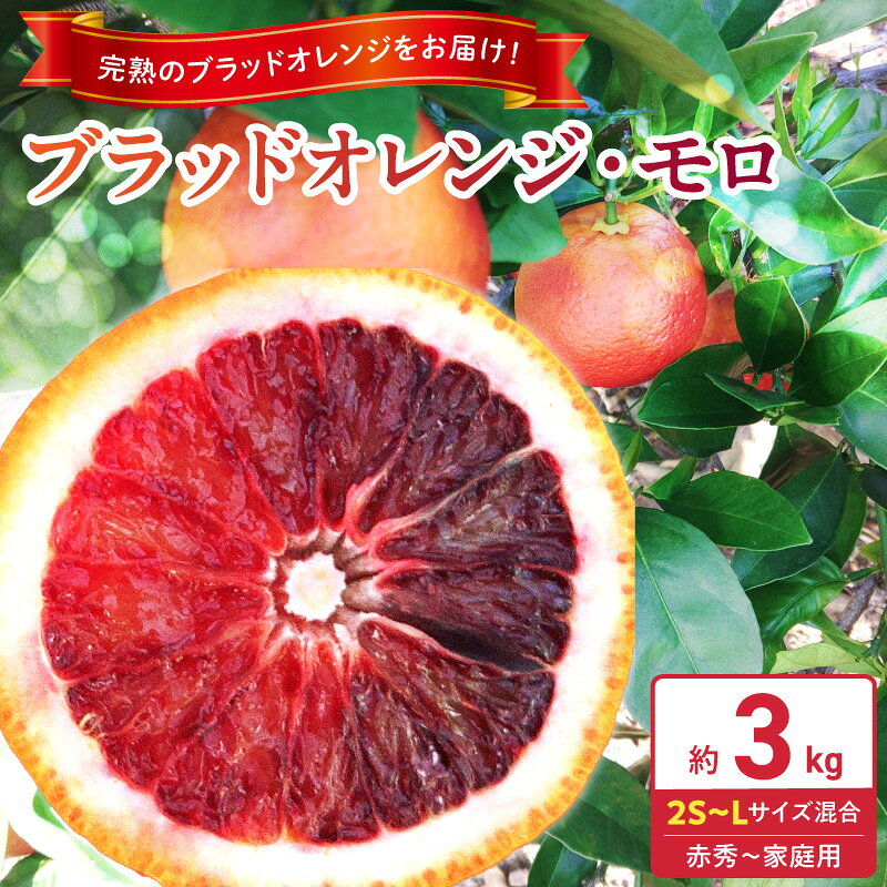 【ふるさと納税】【2027年先行予約】 庄助農園 ブラッドオレンジ モロ 約 3kg サイズ混合 厳選採果 3月 発送 オレンジ コク 甘み 酸味 完熟 芳醇な香り 柑橘 フルーツ デザート 果実 農家直送 自然の恵み お取り寄せ 和歌山県 湯浅町 送料無料