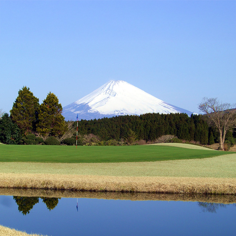 芦の湖 カントリークラブ 平日 ゴルフ利用券 4名 1ラウンド セットランチ 一組 4名様 利用券 富士山 眺望 ゴルフ場 自然 景色 リゾート 観光 レジャー スポーツ プレー 関東 旅行 ゴルフツ