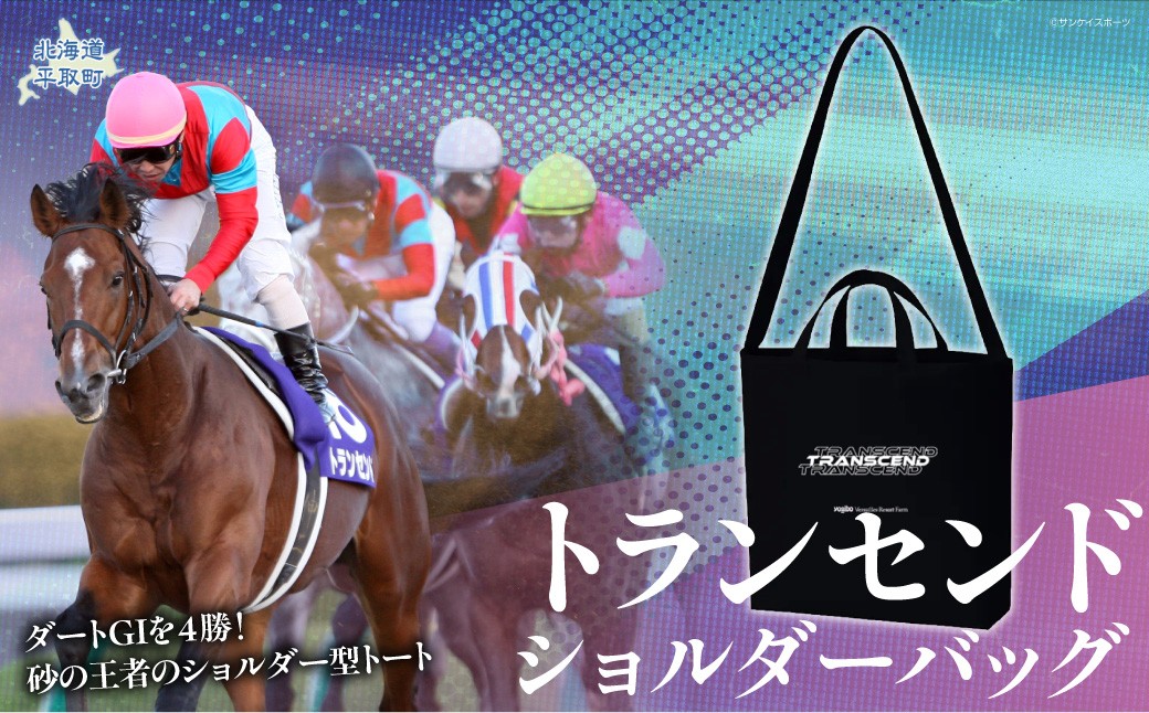 
                  【トランセンド】ショルダーバッグ 【ふるさと納税 人気 おすすめ ランキング 馬 競馬 競走馬 引退馬 トランセンド バッグ ショルダー ショルダーバッグ 生活 日用品 日高 北海道 平取町 送料無料】 BRTV152
                
