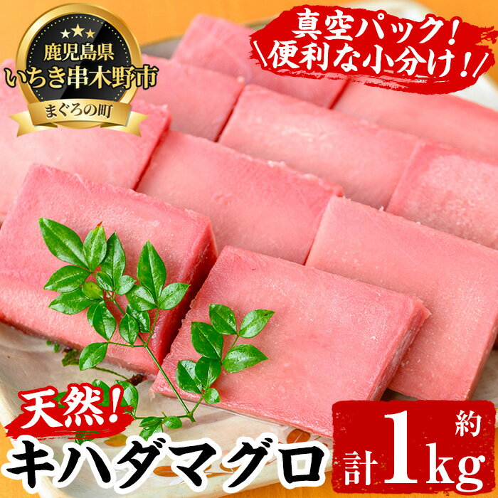 【ふるさと納税】天然キハダマグロ(約1kg)柵でお届け！肉厚のお刺身や海鮮丼に！まぐろ 鮪 魚介 刺し身【海鮮まぐろ家】